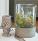 Lattice design Soapstone candle holder - Little Elephant